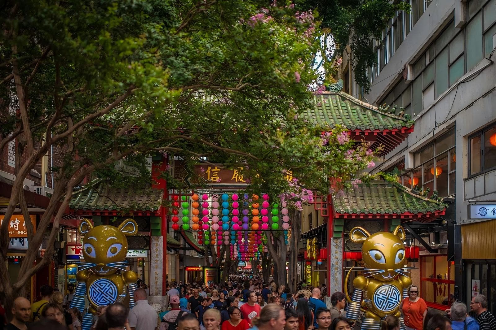 Sydney Night Markets